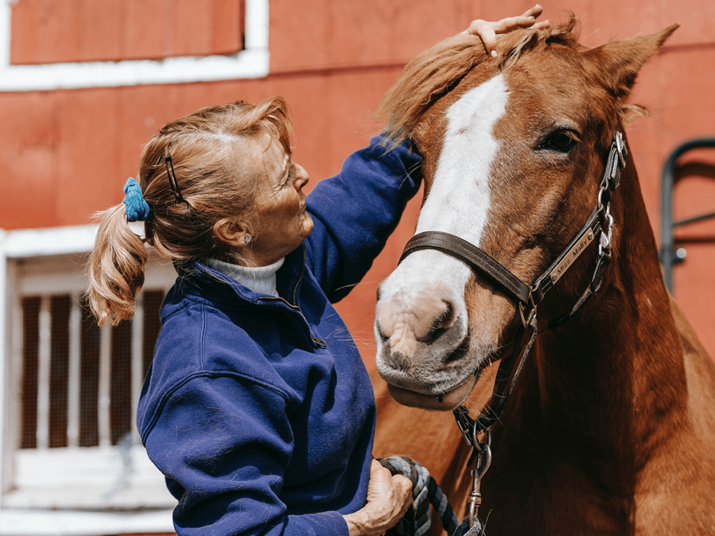 Horsetonic supplments